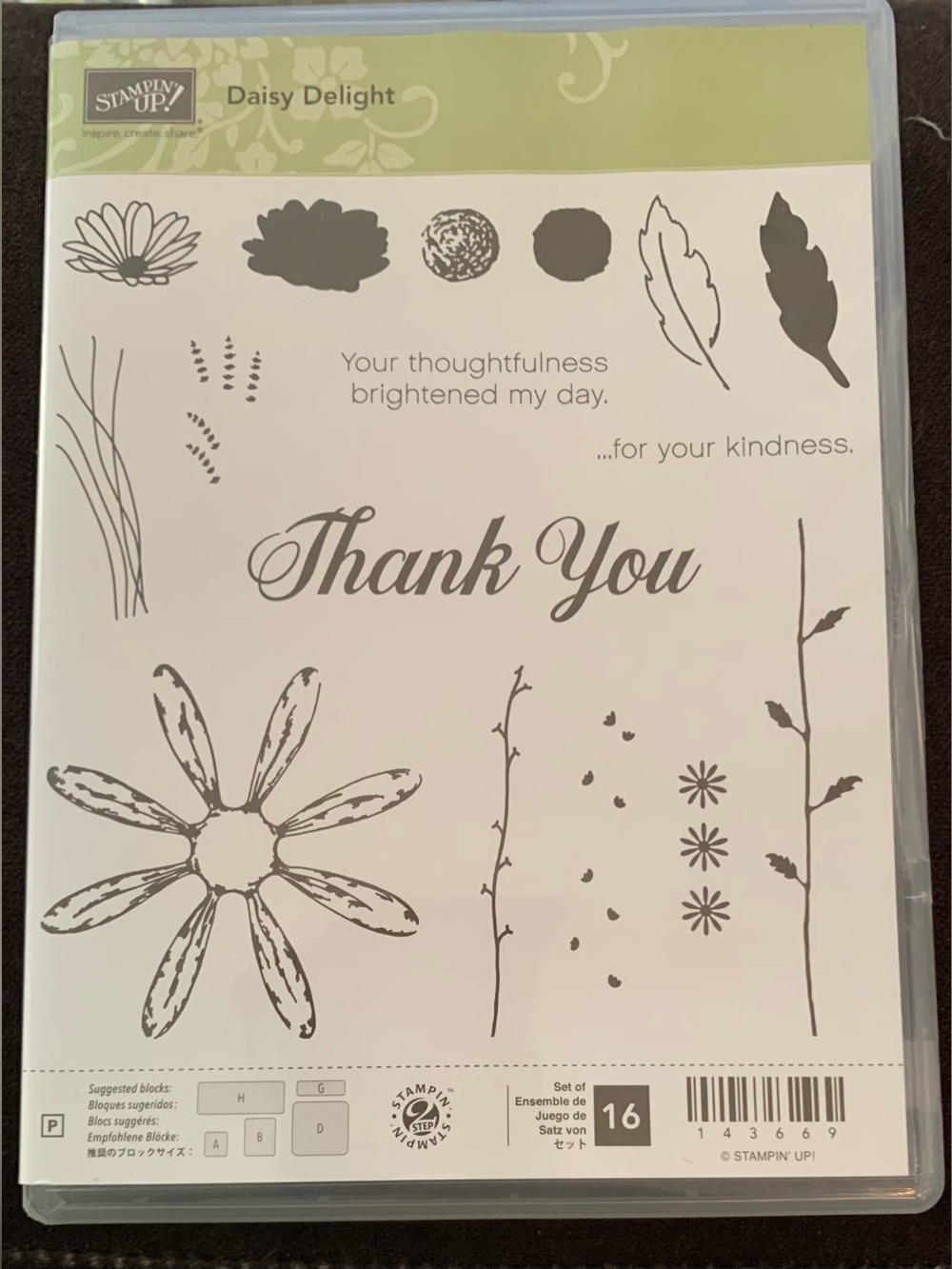 Stampin' Up! Daisy Delight Clear Stamp Set